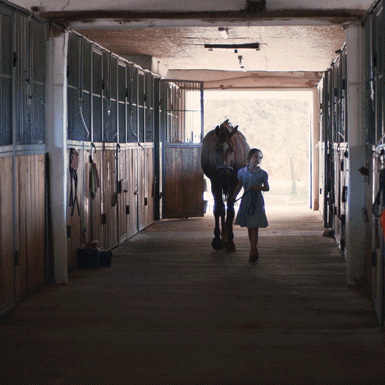 CAR GLOBAL Video2023 Nourish the Bond 1080x1080 10sec NoAudio 1