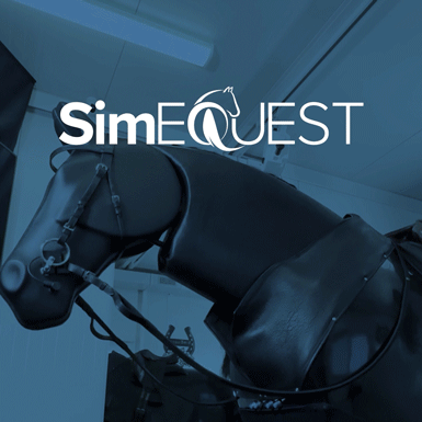 SE VideoDebutant Square 10sec NoAudio 5fps 1